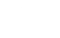 Plug n Drive